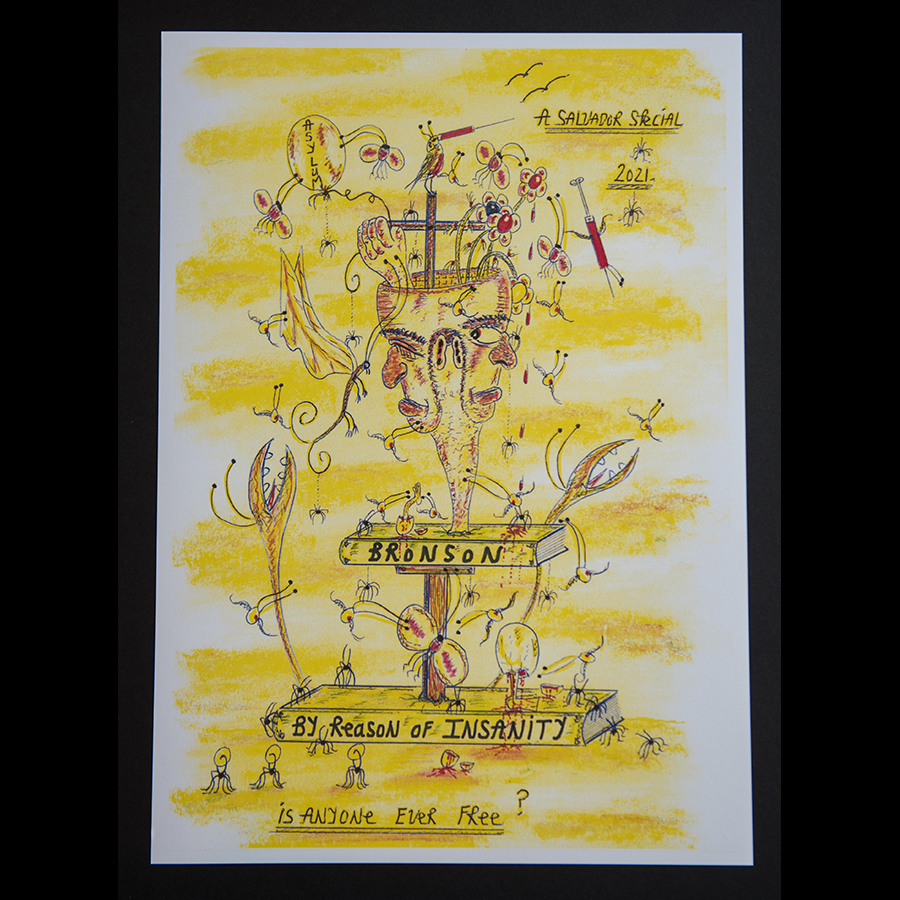 Charles Bronson - Insanity Collection - Bronson - By Reason of Insanity